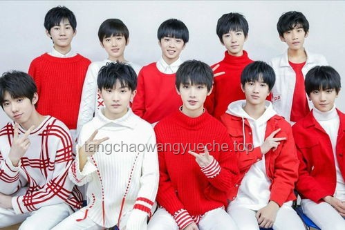 TF三代登陆少年团全员放弃高考问题解决方案